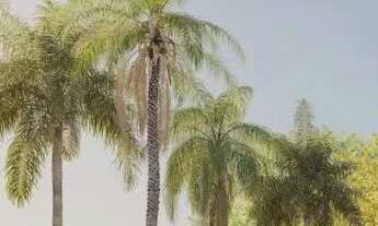 Imagem 2: Sunset Dream Residence Térrea 03 Suítes