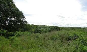 Imagem 5: Chácara de 310.000 m² à venda em Várzea Grande