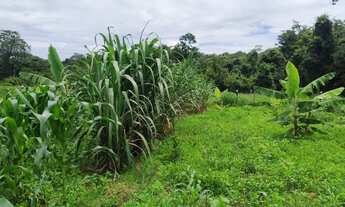 Imagem 2: Chácara de 24.200 metros