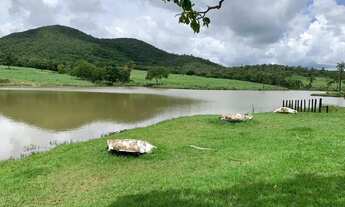 Imagem 7: Fazenda 52 alqueires, Uruaçu-Go