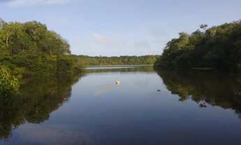 Imagem: Janauaca Manaquiri