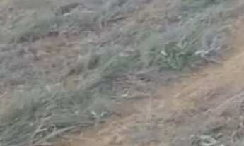 Imagem 6: Chácara DF Planaltina Bonsucesso