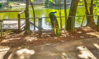 Imagem 11: Terreno à venda, Condomínio Lago dos Cisnes - Foz do Iguaçu/PR