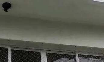 Imagem 2: Sobrado aluguel 140 mts com 3 Dormitórios/1 Suite, Sacada,escritório e garagem 4 autos -Vi