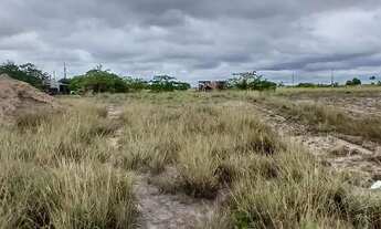 Imagem 5: Vendo se chácara