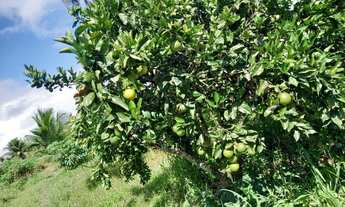 Imagem 6: Sitio Chácara com venda por R$190.000