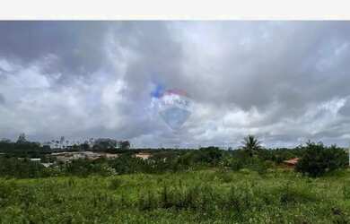 Imagem 3: Lotes à Venda no Mutirão Aramari/BA - Lote 08 - QD E - 221 m2