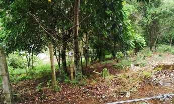 Imagem 6: Terreno 1007 m2 na Cachoeira do Bom Jesus, 1km da praia