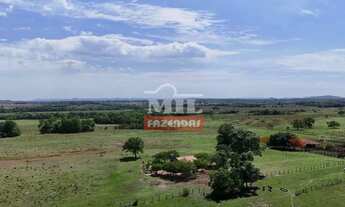 Imagem 6: Fazenda 450 alqueires (2.178 hectares) Crixás - Go