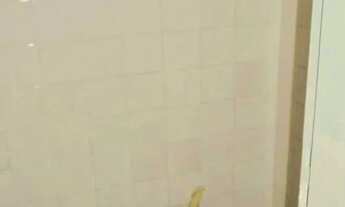 Imagem 4: Loja / Salão / Ponto Comercial para aluguel, Jardim Nova Suíça - Limeira/SP