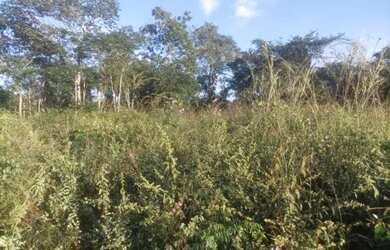 Imagem 3: Chacara sentido Aparecida Vender URGENTE