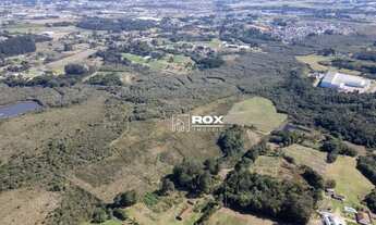 Imagem 4: Terreno Industrial à venda, 268.837 m² por R$ 20.432.000 - Roseira, São José dos Pinhais/P