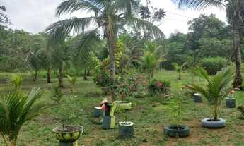 Imagem 5: Lindo Sitio em Balbina Presidente Figueiredo