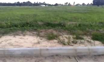 Imagem 3: Vendo terrenos na terra dura