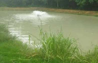 Imagem: Sítio 250 x 1.000 na AM 010 km 127 205.800,00