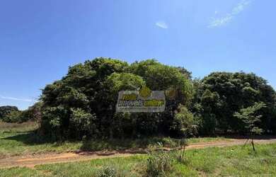 Imagem 3: Chácara com 1 dormitório à venda, 2231 m² por R$ 210.000,00 - Maracanã - Uberaba/MG