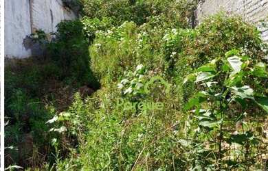 Imagem 3: Terreno à venda, 400 m² por R$ 1.166.000,00 - Cambuci - São Paulo/SP