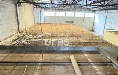 Imagem 7: Setor Santa Genoveva - Imóvel Comercial