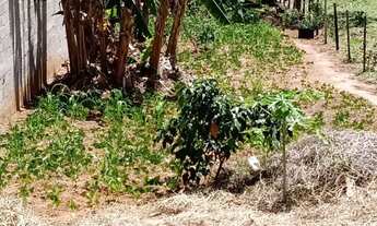 Imagem: Oportunidade - Terreno - Jardim Torrão