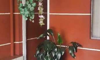 Imagem: Casa a venda em São jose dos pinhais