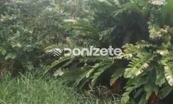 Imagem 3: Terreno à venda, 330 m² por R$ 1.060.000,00 - Vila Floresta - Santo André/SP