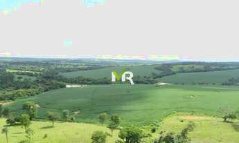 Imagem 6: Fazenda 52 Alqueires Ipameri - GO