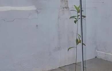 Imagem 7: Casa em CENTRO Casa com 1 dormitório