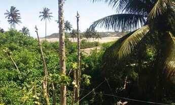 Imagem 2: Casa na praia Casa com 2 dormitórios