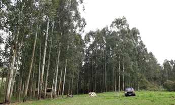 Imagem 4: Sitio Fazenda / sítio com venda por R$270.000