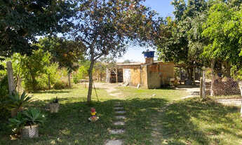 Imagem: Linda chácara com 10.000 m², sede, árvores