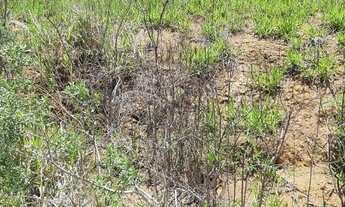 Imagem 6: Vendo terreno em Extrema - MG