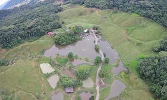 Imagem 2: Vendo Sitio com ampla Infra Estrutura em Massaranduba/sc