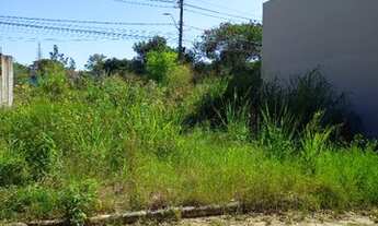 Imagem 6: Excelente Lote Barra do Sahy