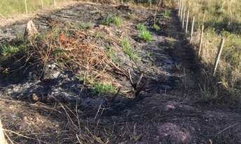 Imagem 3: Vendo Lote - Morro da Logoa