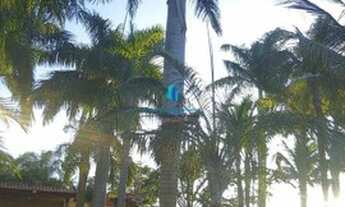 Imagem 2: Rancho à venda - Aparecida do Taboado/MS