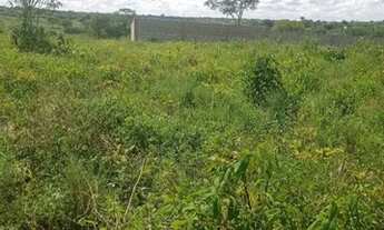 Imagem 2: Vende-se Terreno