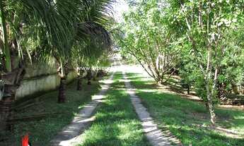 Imagem 2: Imobiliária Fabio Paes - Sítio a venda com 4.000 m² pronto para morar