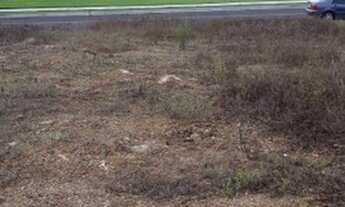 Imagem 4: Lote em condomínio fechado