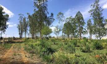 Imagem 3: Terreno para venda com 3.000 m2 em Quadra - SP