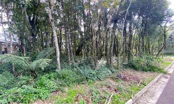 Imagem 5: Gramado - Terreno Padrão - Floresta