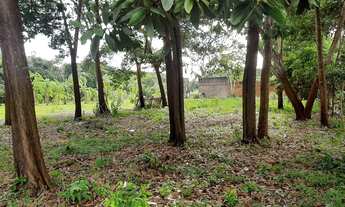 Imagem: Vende-se um lote no Bairro Goiabal