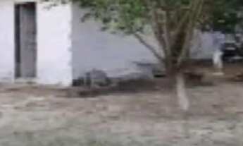 Imagem 2: Vende-se um sítio no Apaco ao lado da Cidade Operária<br&gt