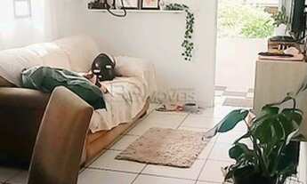 Imagem 2: FLORIANóPOLIS - Casa Padrão - Campeche