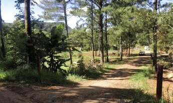 Imagem 2: Terreno 10x30 na RS-020