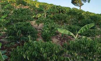 Imagem 6: Vede se uma chácara 2700 metros 220 mil