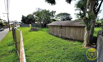 Imagem 5: FLORIANóPOLIS - Terreno Padrão - Vargem do Bom Jesus