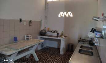 Imagem 2: Fazenda Marrecos de 57 hectares com trator e forrageira