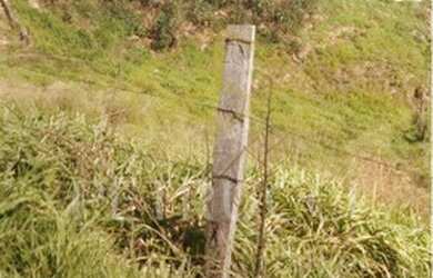 Imagem 4: Terreno - Joaquim Egídio - Campinas