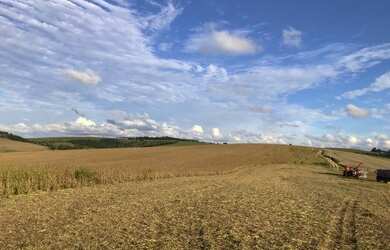 Imagem 5: Porto Amazonas - 389 Hectares - Plantando 90 Alqueires - Com Sede Completa