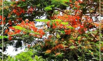 Imagem 4: Casa Pé na areia na Marina, em frente ao mar em Búzios